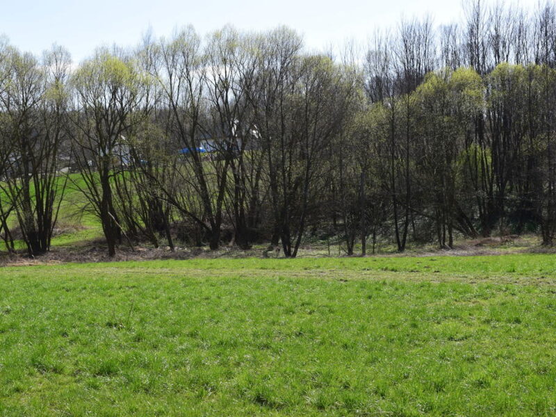Działka rekreacyjna 40a- Manasterz