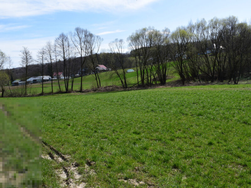 Działka rekreacyjna 40a- Manasterz