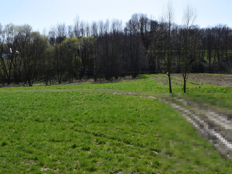 Działka rekreacyjna 40a- Manasterz
