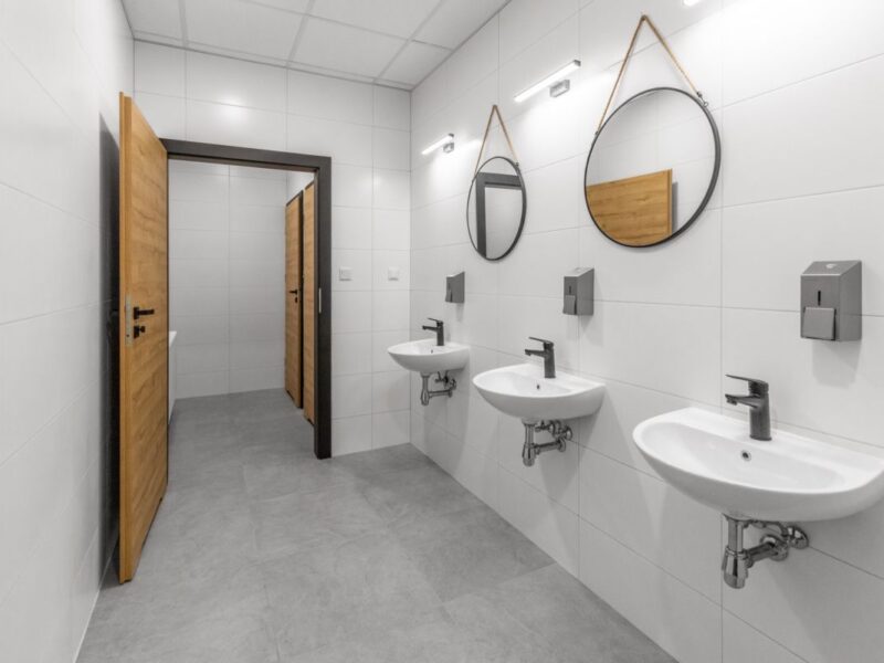 Hala produkcyjno-magazyn. 780m2 - Lublin, Zadębie - , Lublin