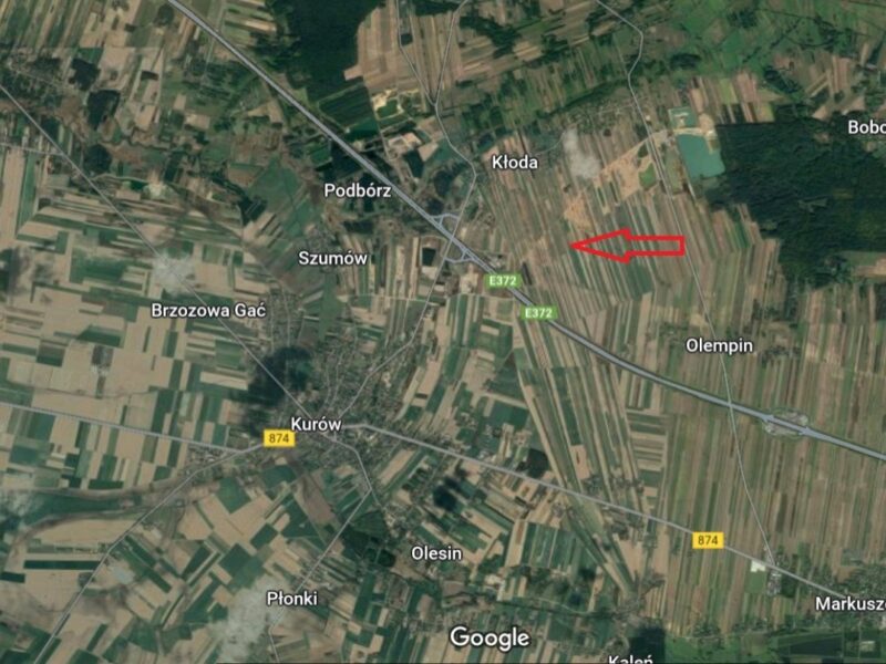 Grunt inwestycyjny/20 ha/gmina Kurów