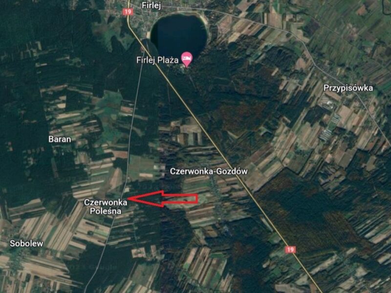 Działka 52 ar/Czerwonka Poleśna (gm. Firlej)