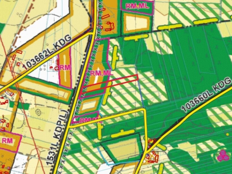 Działka 47 ar/Czerwonka Poleśna (gm. Firlej)