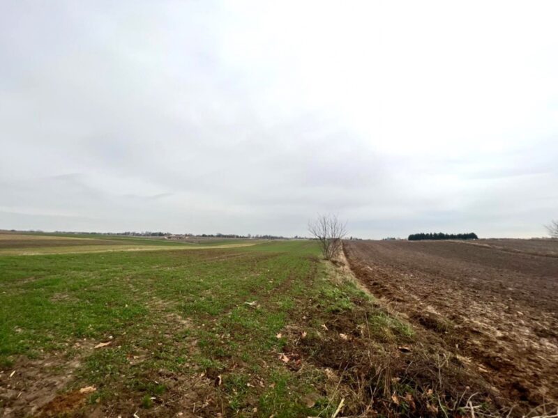 Dwie działki o powierzchni 3601m2 Marysin