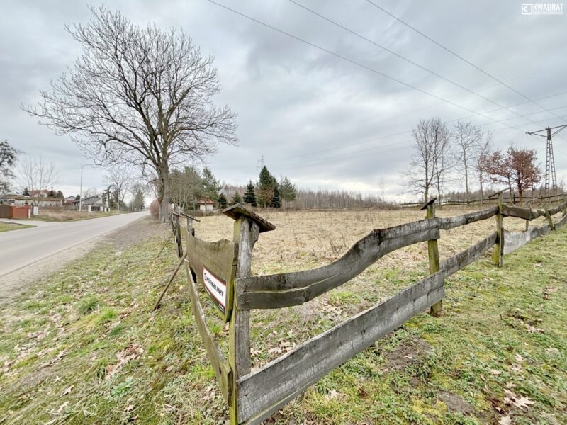 Działka budowlana w Cholewiance 20 arów, Kazimierz