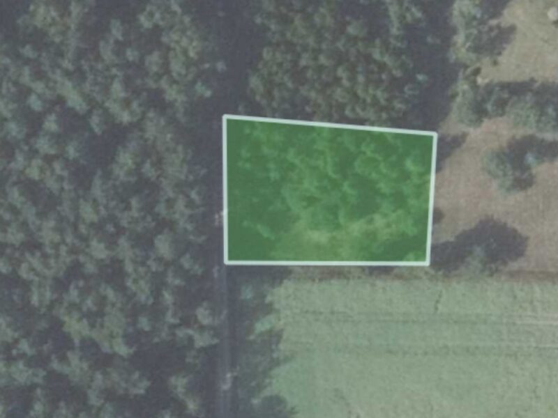 Rogóźno działka 10 arów, pojezierze łęczyńsko-włod