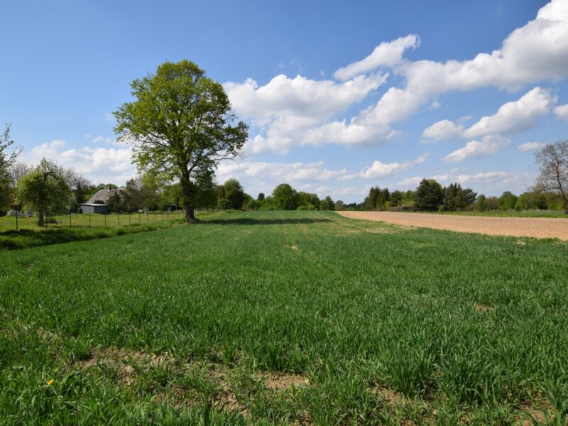Działka 2507 m2, MN, Kazimierz Dolny- Góry
