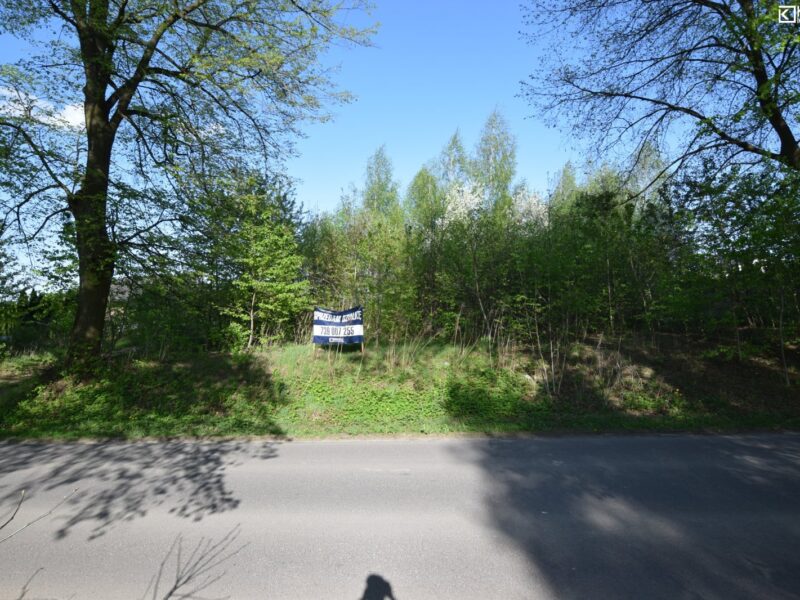 Pólko/ aleja lipowa/ 1800m2