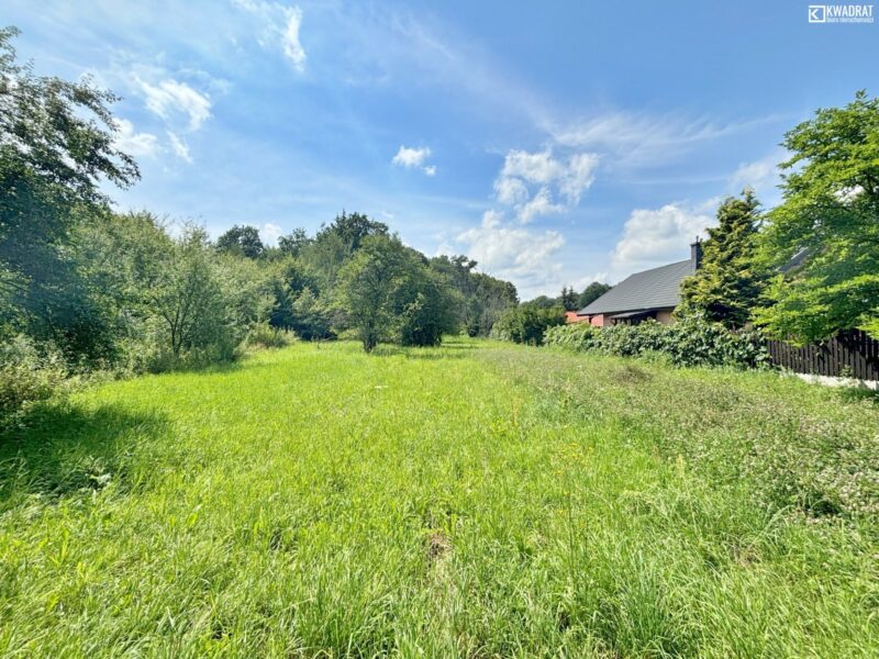 Kazimierz D. - budowlana 5723 m2 - Dąbrówka