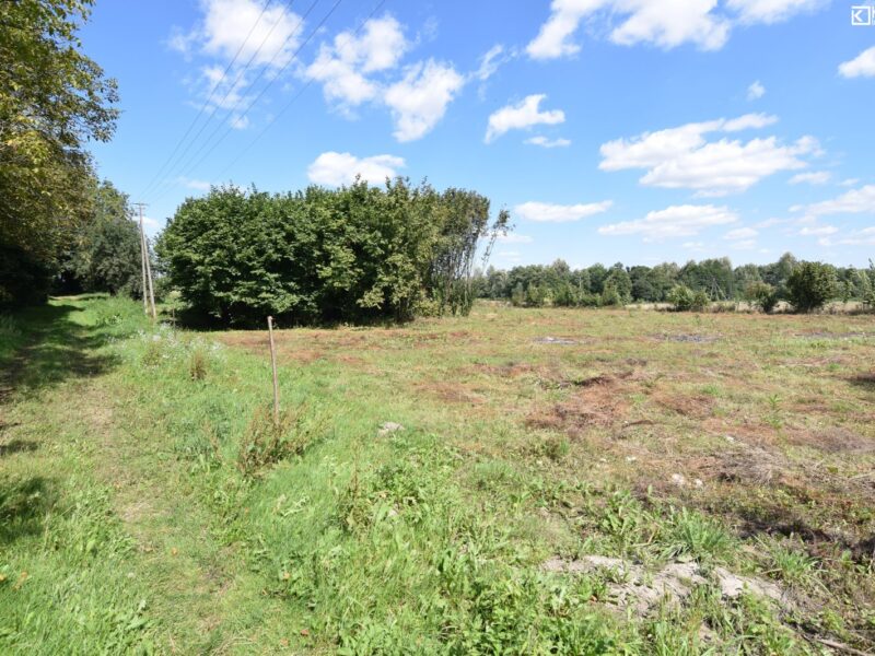 Działka zagrodowo-rolna 1,5 h, Ożarów