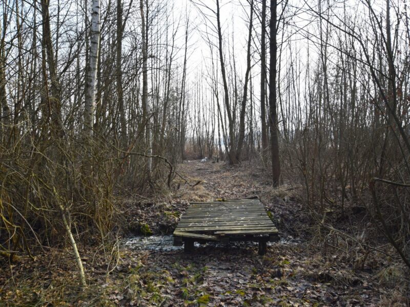 Działka nad jeziorem Łukcze - 30 ar