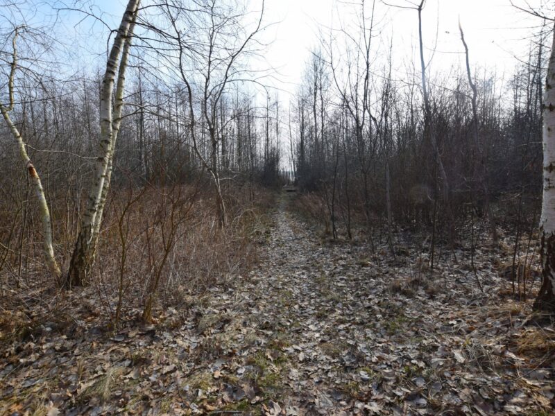 Działka nad jeziorem Łukcze - 30 ar