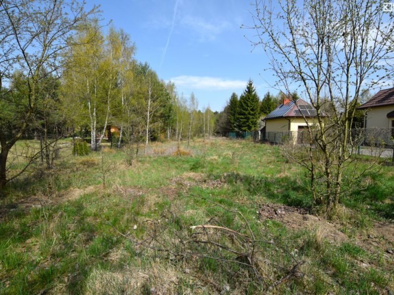 Działka 3800 m2- Nowy Staw