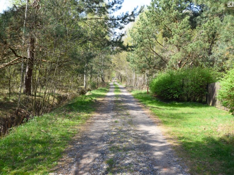 Działka 3800 m2- Nowy Staw