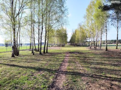 3,5ha/Ręczaje Polskie