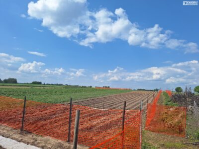Działka budowlana / 3100 m2 / PŁOUSZOWICE