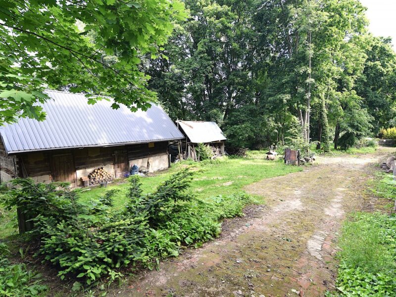 Piękne siedlisko w Klementowicach z budynkami, 1,5