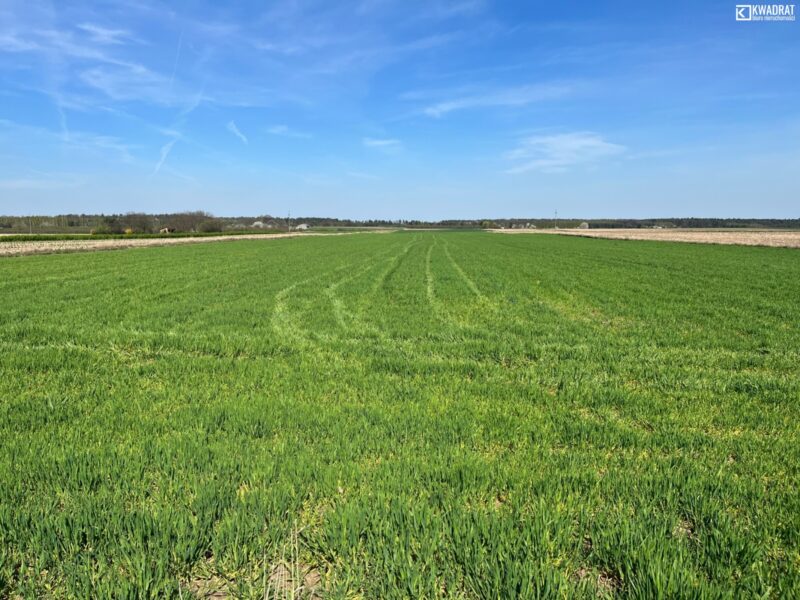Działka budowlana 1300 m2 Charlęż