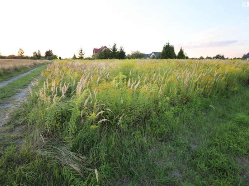 Działka Budowlana pod Lublinem 1166 m2 KRĘPIEC