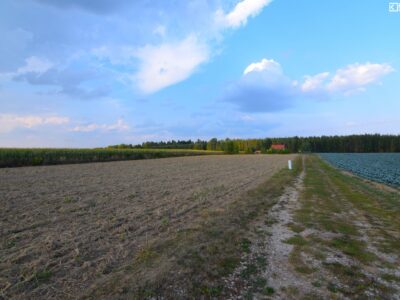 Motycz/ działka zagrodowa z wz/ 30 ar