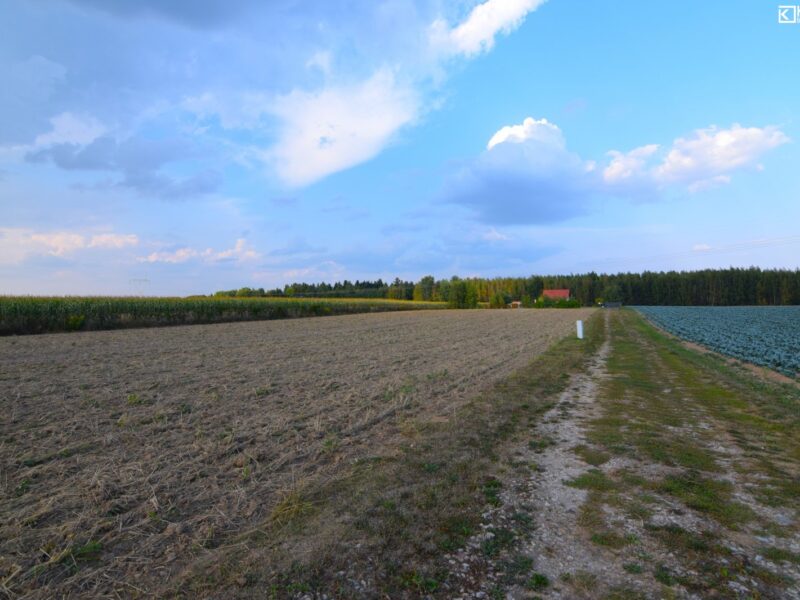 Motycz/ działka zagrodowa z wz/ 30 ar