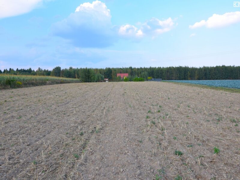 Motycz/ działka zagrodowa z wz/ 30 ar