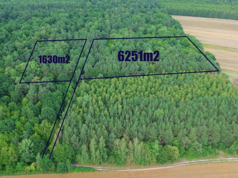 Działka Leśna Niemce - pow. 1630m2
