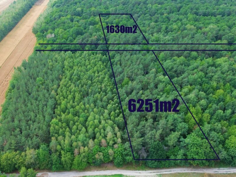 Działka Leśna Niemce - pow. 6251m2