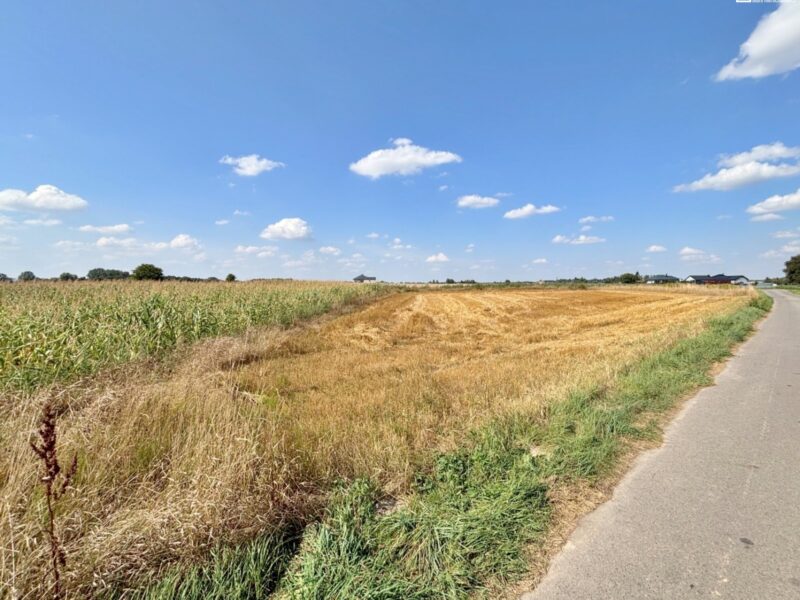 Radawiec Mały - działka 17 arów