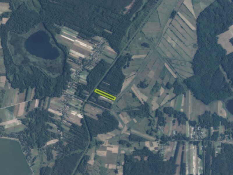Zalesiona działka - Stary Orzechów - 1,9 ha