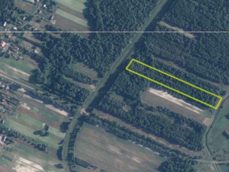 Zalesiona działka - Stary Orzechów - 1,9 ha