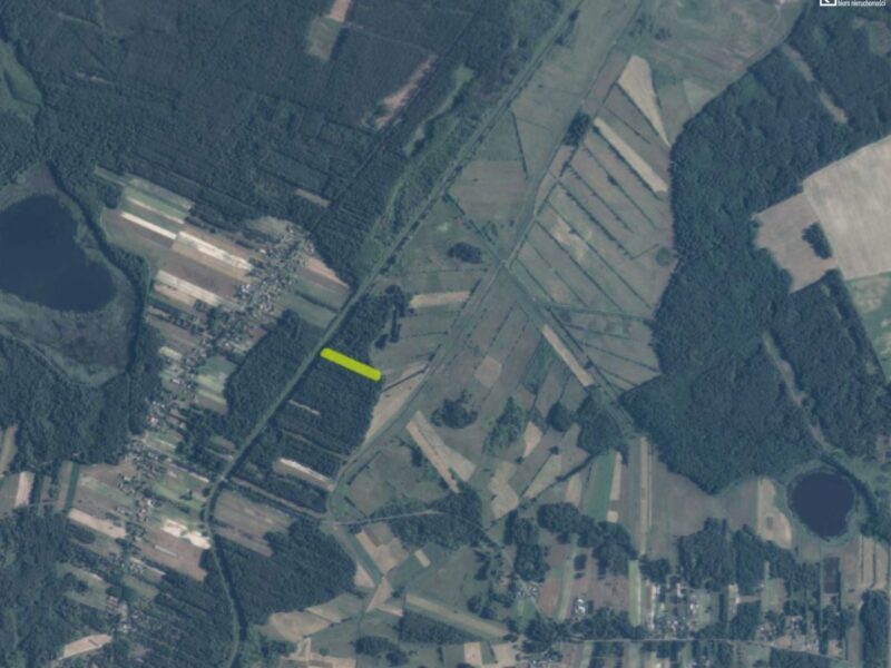 Działka leśna - 62 a - Stary Orzechów