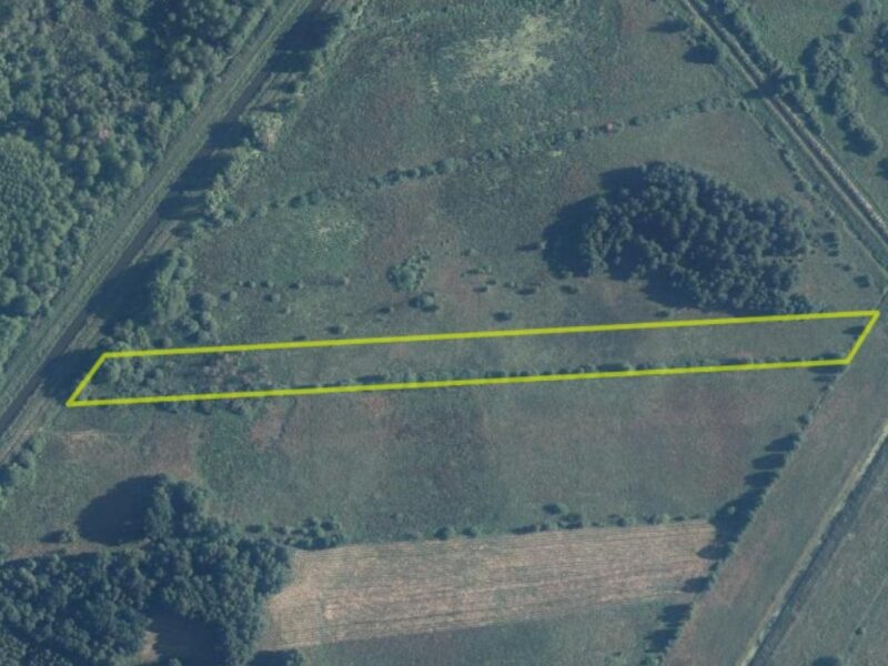 Łąka - 1,5 ha - Stary Orzechów