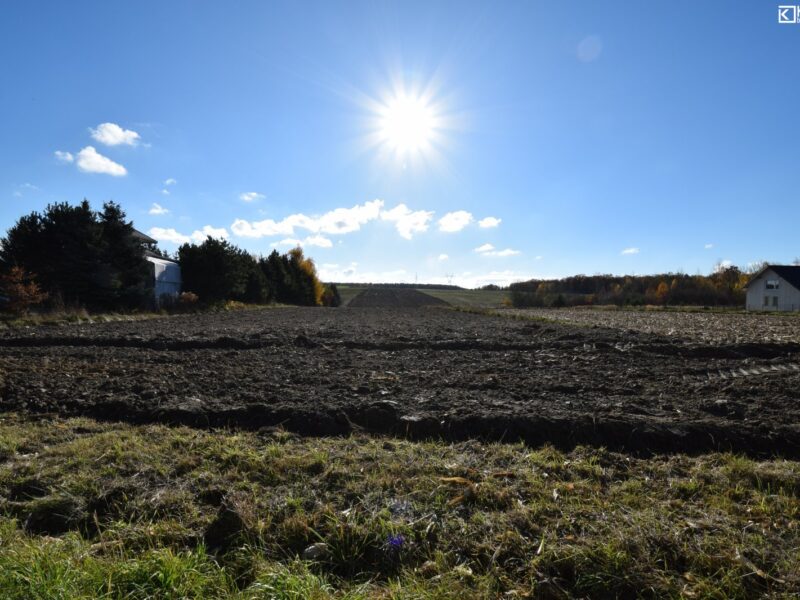 Działka 2660 m2, Polanówka, g. Strzyżewice