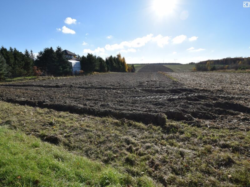 Działka 2660 m2, Polanówka, g. Strzyżewice