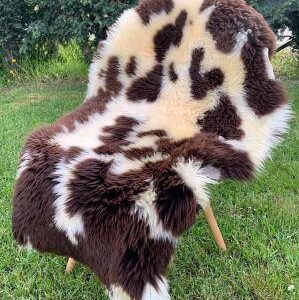 Skóra owcza holenderska i Texel - dywan dekoracyjny