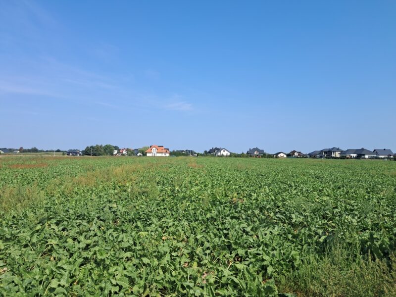 Gm. Puchaczów, Turowola - kolonia.~1600m2 - uzbrojona, płaska, kwadratowa działka budowlana.~~Do sprzedania pięknie zlokalizowana, wśród nowo wybudowanych domów- PUCHACZÓW, PUCHACZÓW, LUBELSKIE na SPRZEDAŻ