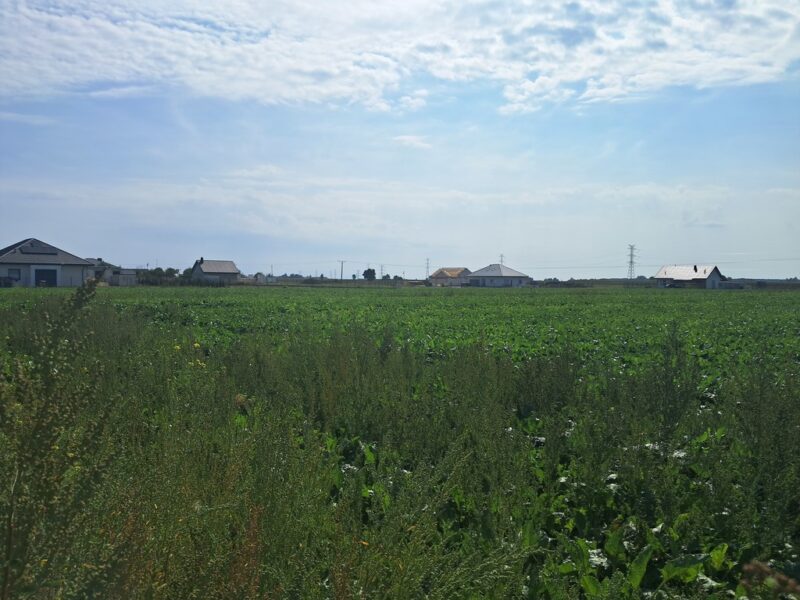 Uzbrojona działka. Gm. Puchaczów - PUCHACZÓW, LUBELSKIE na SPRZEDAŻ