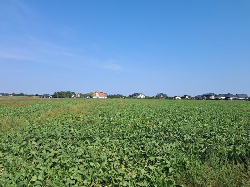 Działka budowalna 16a - Gm. Puchaczów - Turowola. - PUCHACZÓW, LUBELSKIE na SPRZEDAŻ