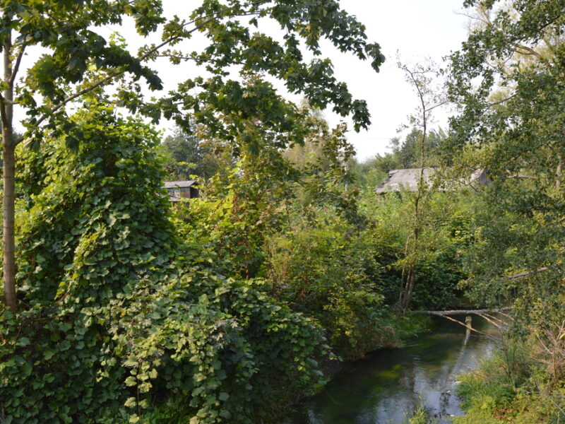Działka budowlana, Urzędów, centrum, 25 a - URZĘDÓW, URZĘDÓW, LUBELSKIE na SPRZEDAŻ
