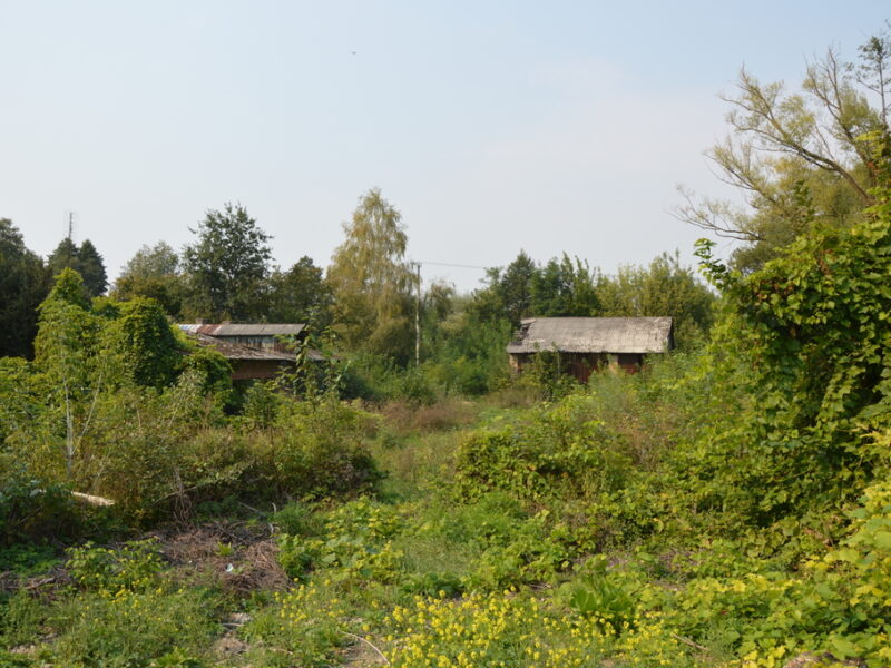 Działka budowlana, Urzędów, centrum, 25 a
