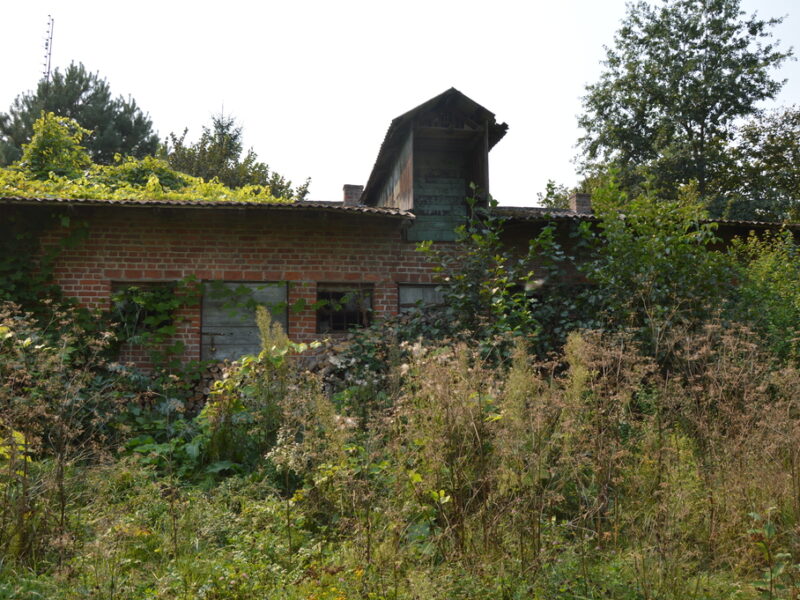 Działka budowlana, Urzędów, centrum, 25 a - URZĘDÓW, LUBELSKIE na SPRZEDAŻ