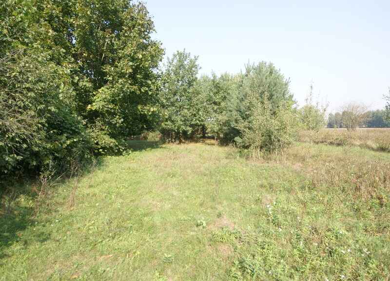 Działka 16 ar w miejsc. Gołąb pow. Lubartowski - MICHÓW, LUBELSKIE na SPRZEDAŻ