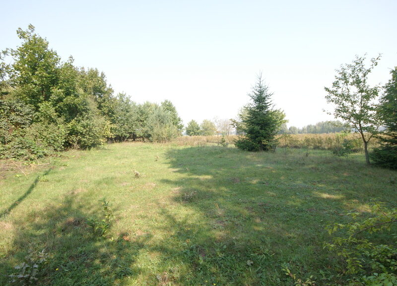Działka 16 ar w miejsc. Gołąb pow. Lubartowski - GOŁĄB, MICHÓW, LUBELSKIE na SPRZEDAŻ