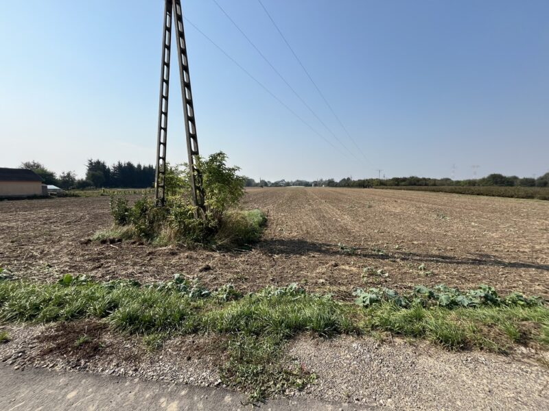 Działka rolno-budowlana 0,62 ha w Gołębiu k/Puław.
