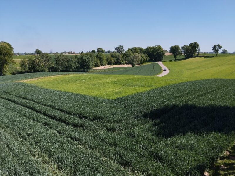 Działka na wzgórzu z niepowtarzalnymi widokami - MOSZENKI, JASTKÓW, LUBELSKIE na SPRZEDAŻ