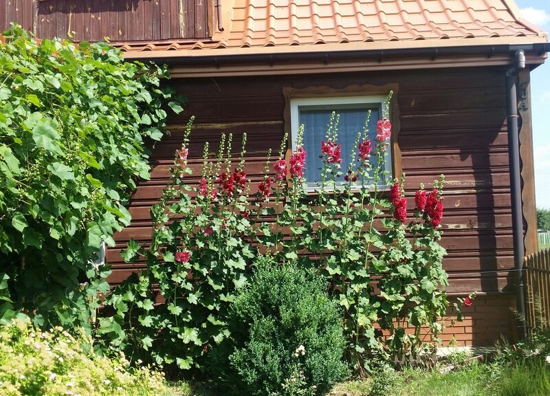 Dom drewniany w pobliu Opola Lubelskiego