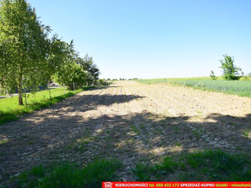 Działka rolno-budowlana bezpośrednio przy lesie. - DOMINÓW, MEŁGIEW, LUBELSKIE na SPRZEDAŻ