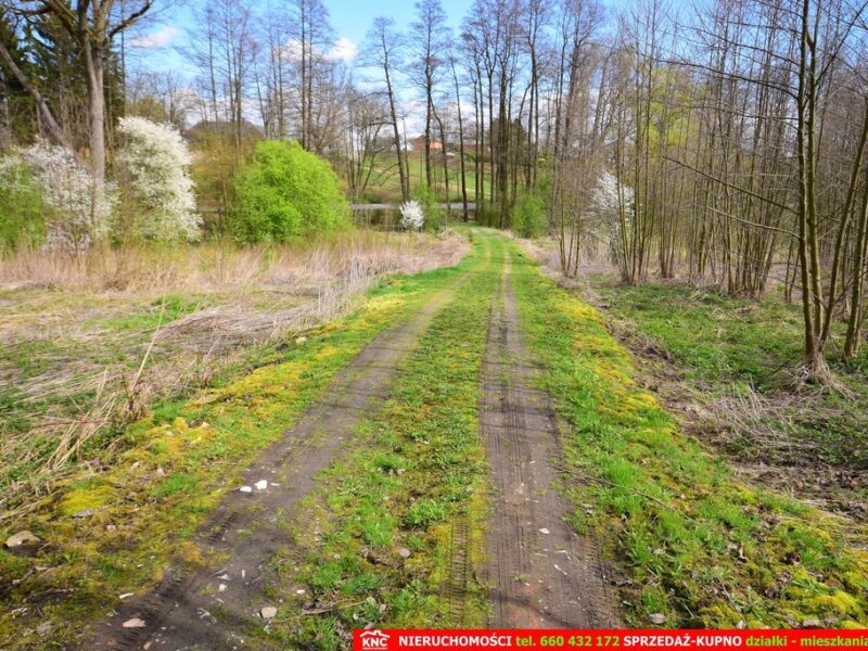 Działka o pow. 3115 m², blisko szkoła, MPK. - KONOPNICA, LUBELSKIE na SPRZEDAŻ
