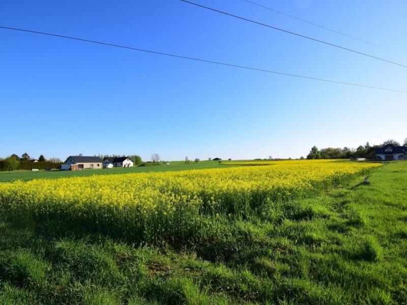 Atrakcyjne działki bud., szybki dojazd do Lublina - KONOPNICA, LUBELSKIE na SPRZEDAŻ